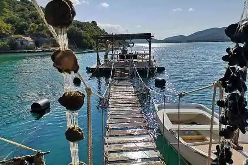 Wooden walkway and boat at a shellfish farm on the Pelješac coast
