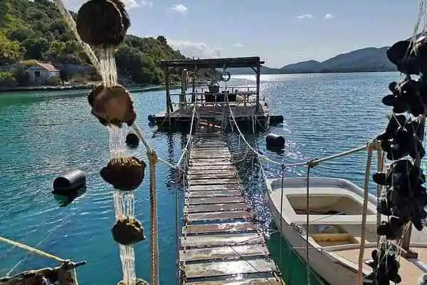 Wooden walkway and boat at a shellfish farm on the Pelješac coast
