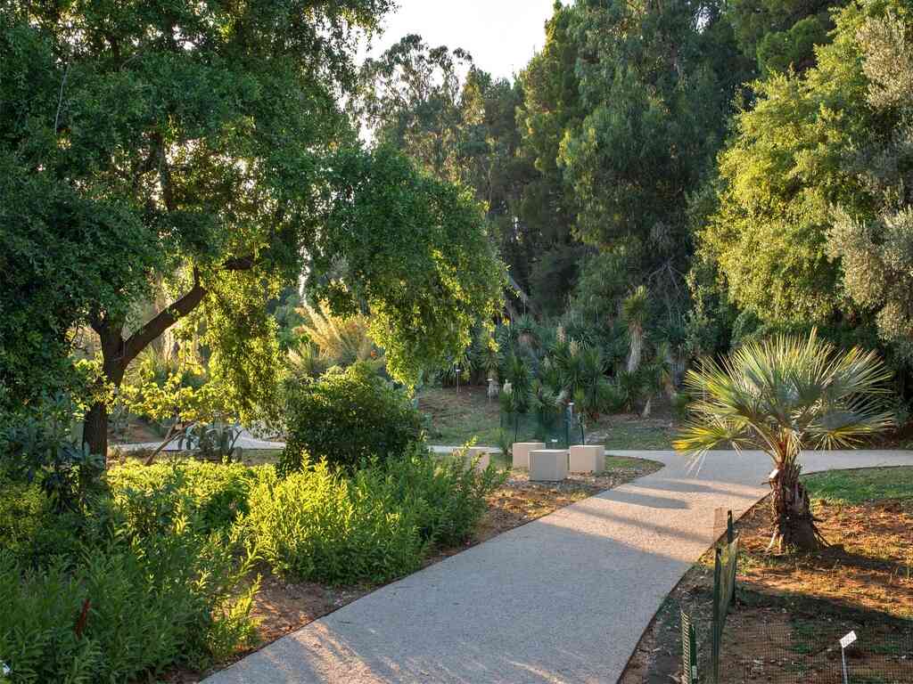 Palm trees and subtropical plants in Lokrum Botanical Garden